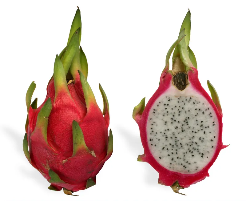 Cultivo de Pitaya, fruta del dragón
