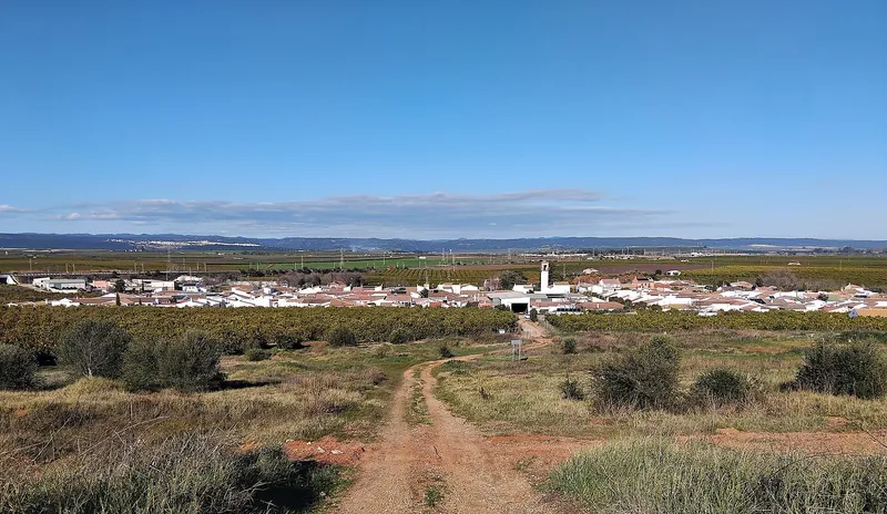 Cultivo de Céspedes