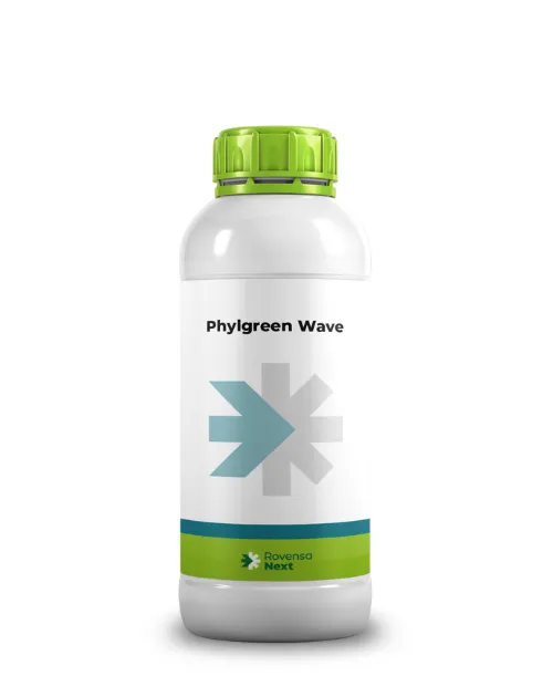 Imagen oficial de Phylgreen Wave