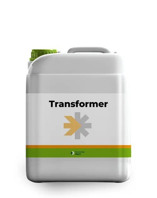 Imagen oficial de Transformer