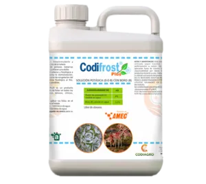 Imagen oficial de CODIFROST-PLUS