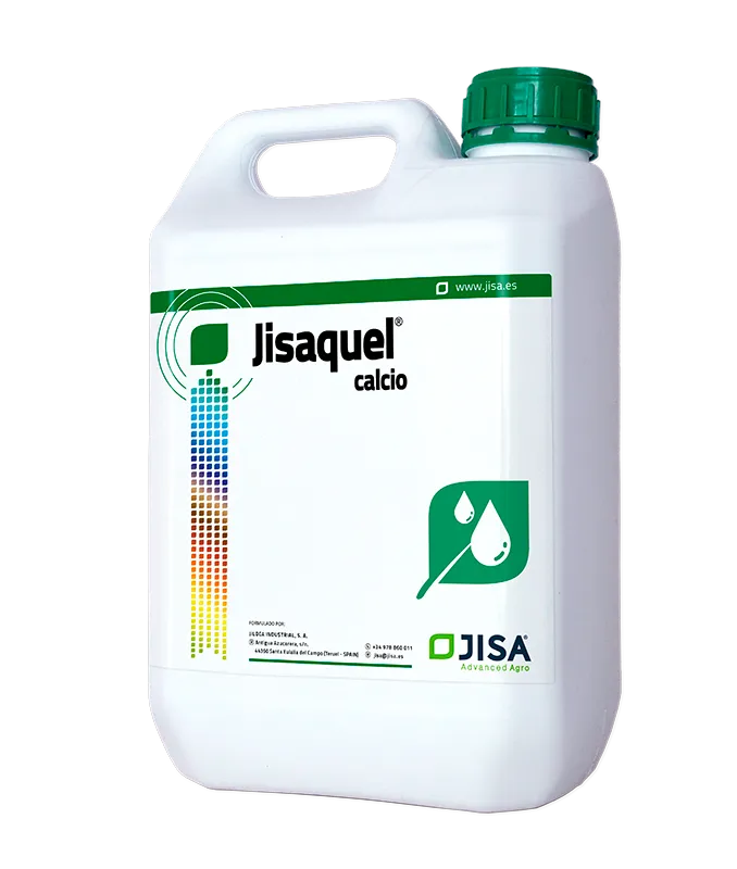 Imagen oficial de Jisaquel calcio