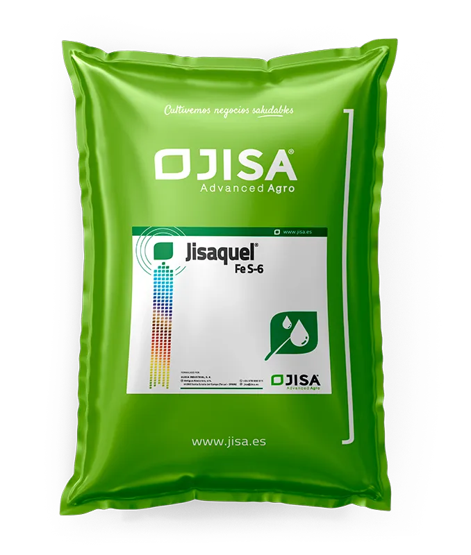 Imagen oficial de Jisaquel Fe S-6