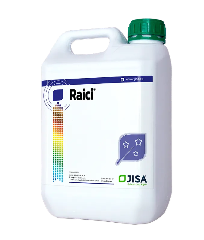 Imagen oficial de Raici
