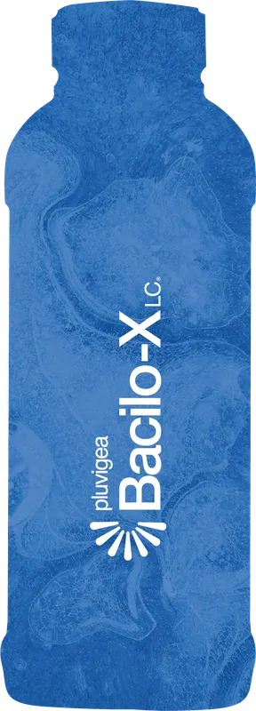 Imagen oficial de Bacilox