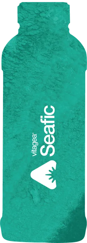 Imagen oficial de Seafic