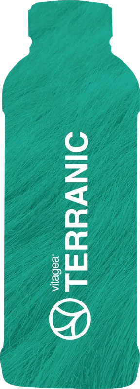 Imagen oficial de Terranic