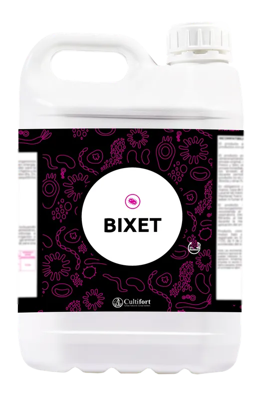 Imagen oficial de BIXET
