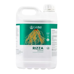 Imagen oficial de RIZZA