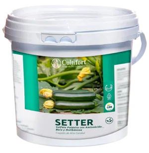 Imagen oficial de SETTER