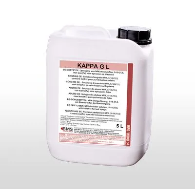 Imagen oficial de Kappa G (L)