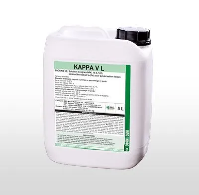 Imagen oficial de Kappa V (L)