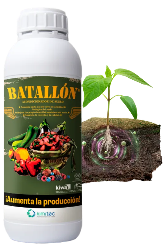 Imagen oficial de Batallón