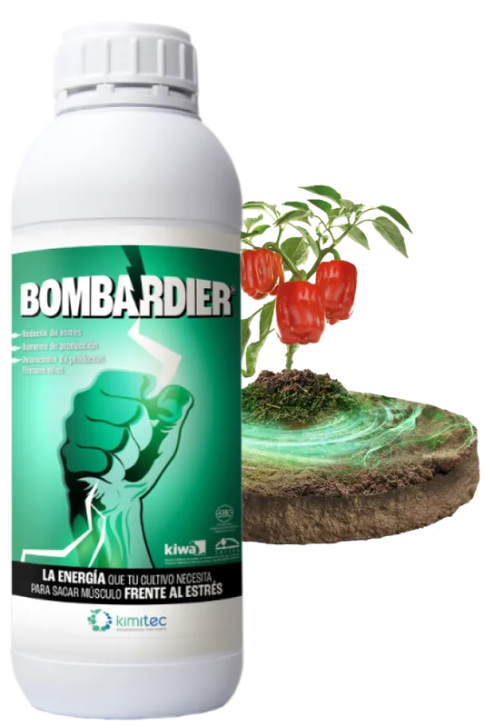 Imagen oficial de Bombardier