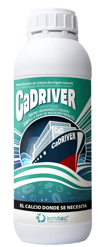 Imagen oficial de CaDriver