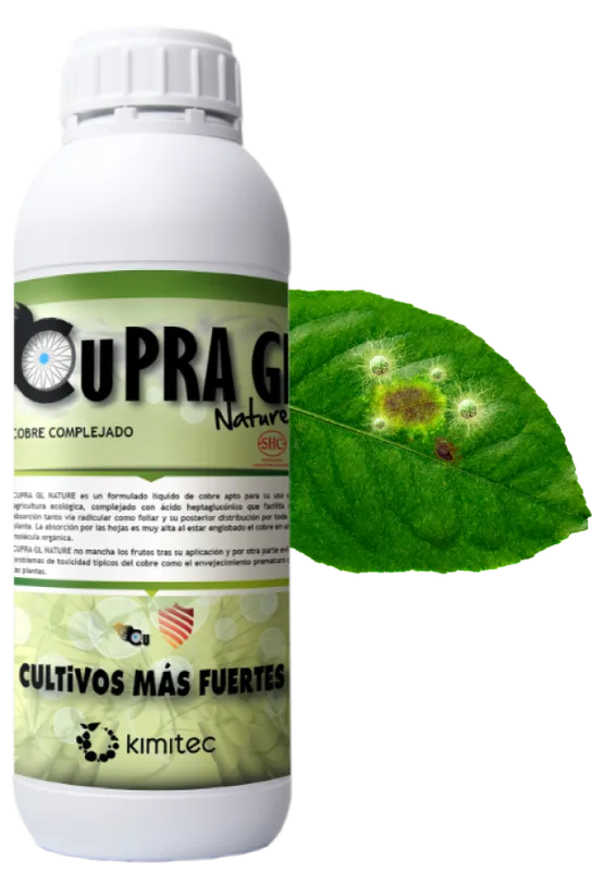 Imagen oficial de Cupra GL Nature