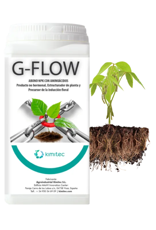 Imagen oficial de G-Flow