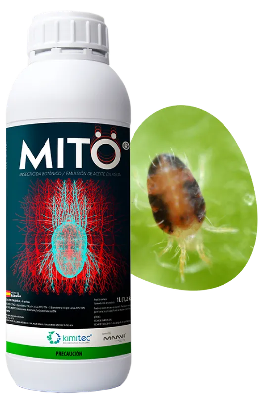 Imagen oficial de Mitö/Redxodus