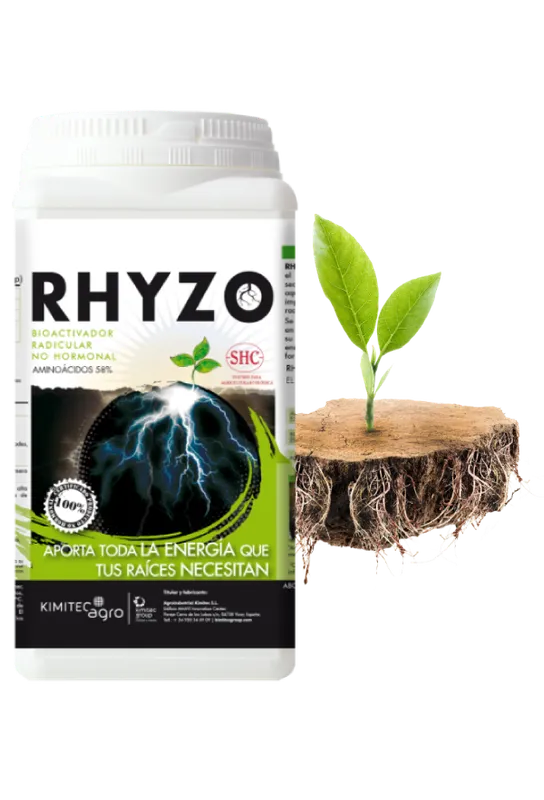 Imagen oficial de Rhyzo