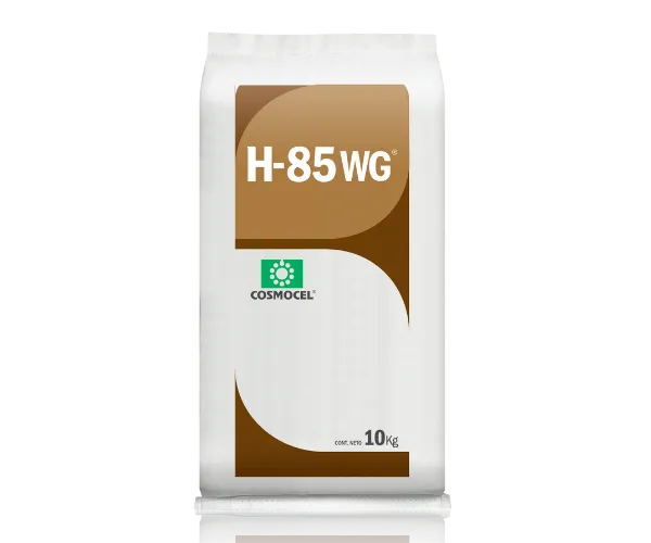 Imagen oficial de H-85