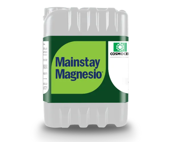 Imagen oficial de MainstaY Magnesio