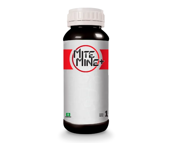 Imagen oficial de Mite-Mine+