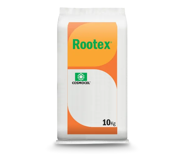 Imagen oficial de Rootex