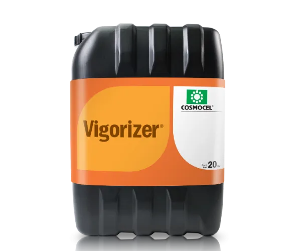 Imagen oficial de ViGorizer