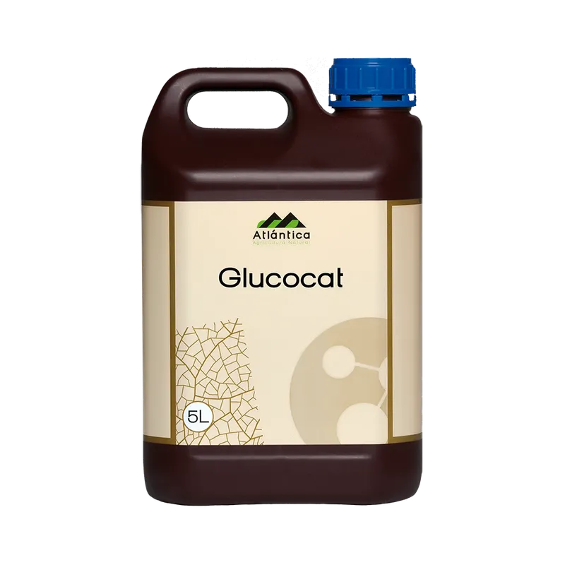 Imagen oficial de Glucocat
