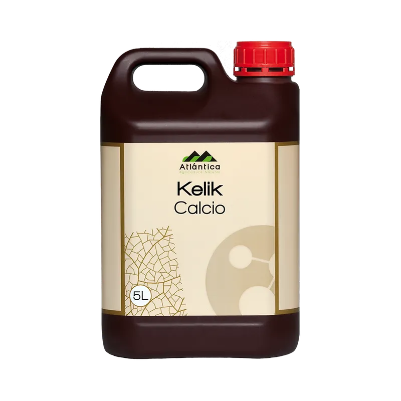 Imagen oficial de Kelik Calcio