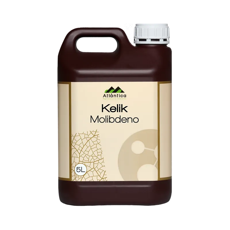 Imagen oficial de Kelik Molibdeno