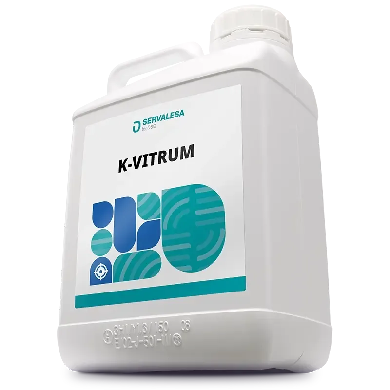Imagen oficial de K-VITRUM