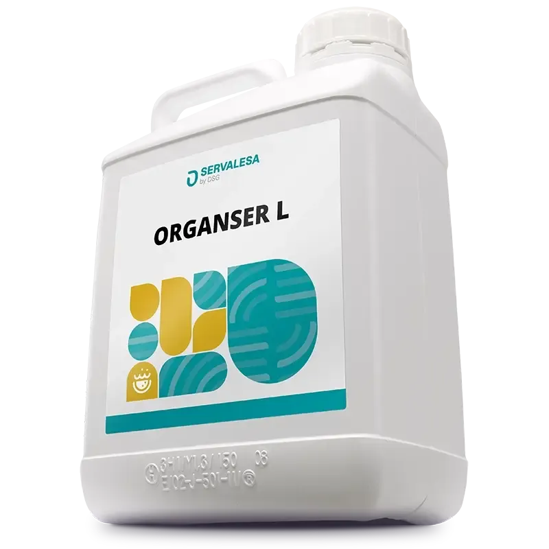Imagen oficial de ORGANSER L