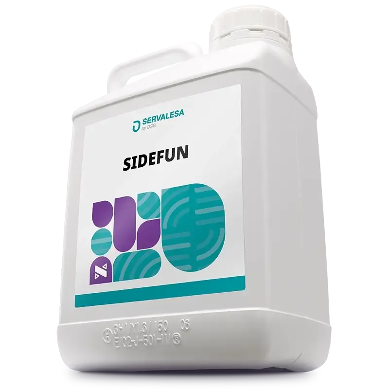 Imagen oficial de SIDEFUN