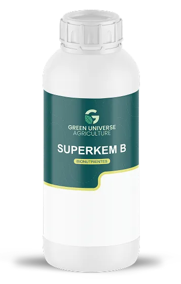 Imagen oficial de Superkem B