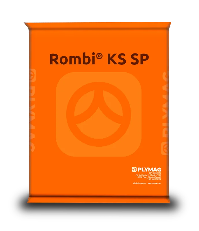 Imagen oficial de Rombi KS SP