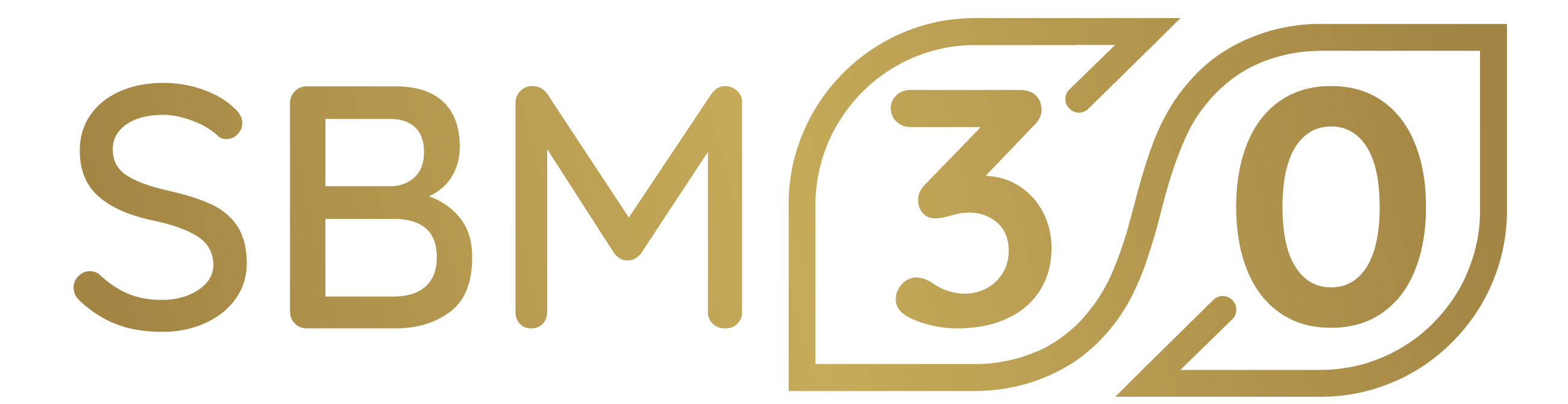 Logo de SBM DÉVELOPPEMENT SAS (Ecully)