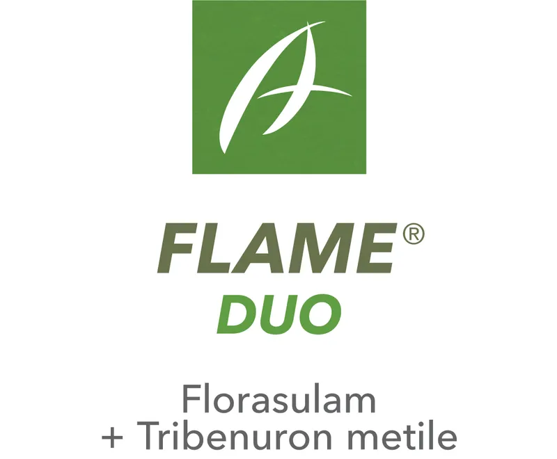 Imagen oficial de FLAME