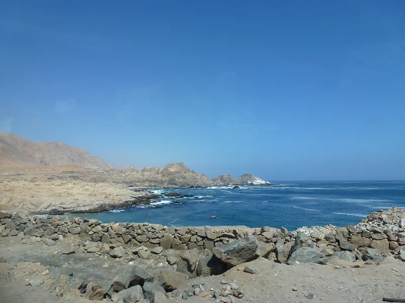 Plaga de PUNTA BLANCA, MILDIU DEL PUERRO, PHYTOPHTHORA PORRI